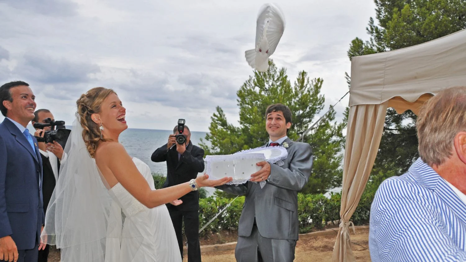 palomas para eventos suelta de palomas en una boda