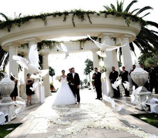 Palomas blancas para bodas